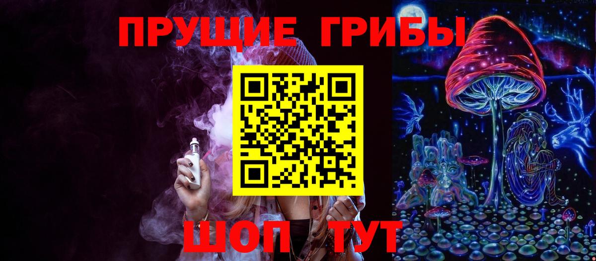 Галлюциногенные грибы Psilocybe Бахчисарай